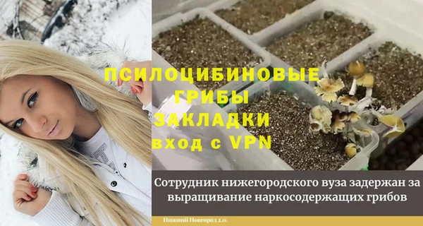дживик Алзамай