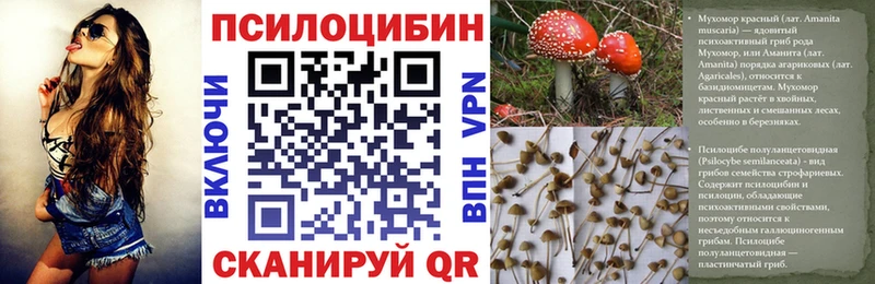 Галлюциногенные грибы Psilocybine cubensis  mega вход  Липки 